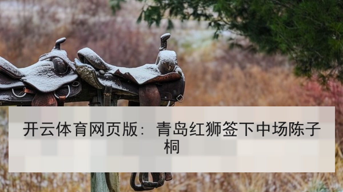 开云体育网页版: 青岛红狮签下中场陈子桐 开云体育网页版: 青岛红狮签下中场陈子桐